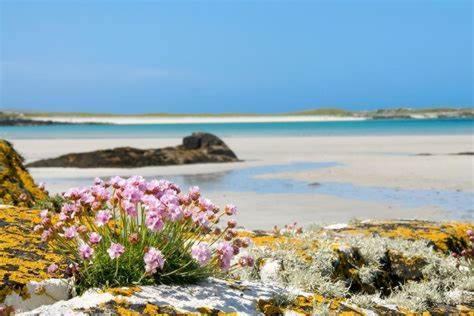 Wild Atlantic Stay Guest House Self-Catering Inverin Екстер'єр фото